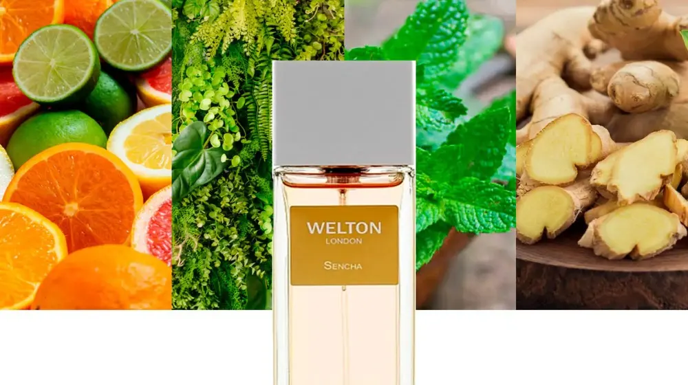  Najlepsze perfumy z nutą mięty; orzeźwienie, luksus i elegancja w wydaniu niszowym