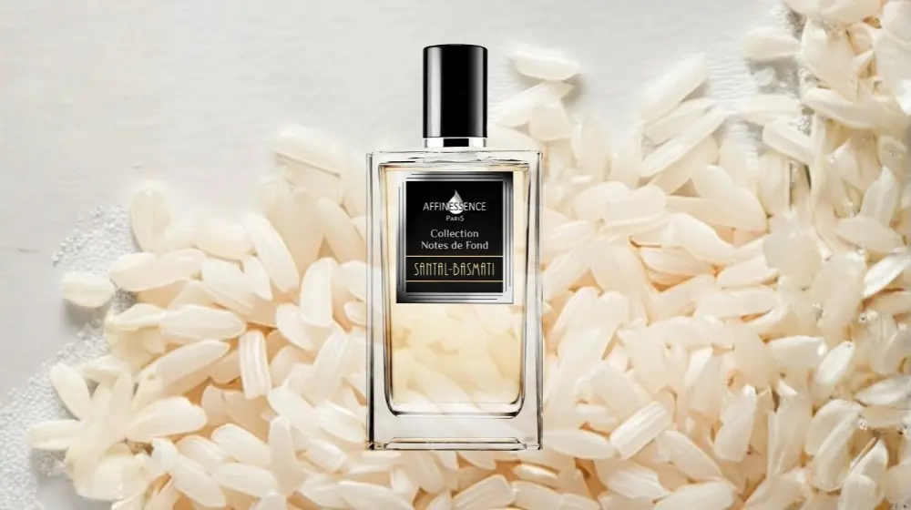 Najlepsze perfumy z nutą ryżu – przewodnik eksperta po najnowszym trendzie